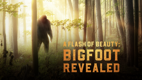 Bigfoot: A Flash of Beauty