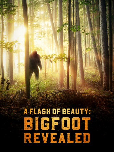 Bigfoot: A Flash of Beauty