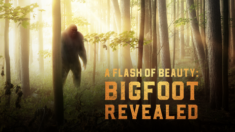 Bigfoot Revealed