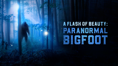 Paranormal Bigfoot